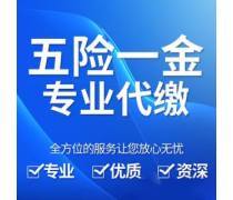 個人社保代繳補繳優(yōu)選商家及代理服務(wù)推薦